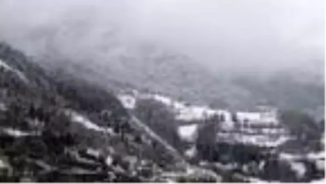 Doğu Karadeniz'in yükseklerinde kar yağışı