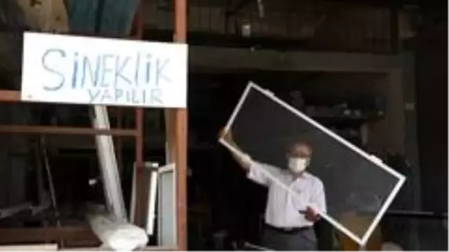 Sıcaklık onlara yaradı