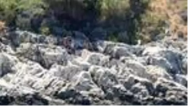 Botları batan 2 göçmen kurtarıldı