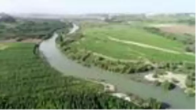 Son dakika... 'Toz fırtınası, göl ve nehirde alg patlamasına neden olabilir'