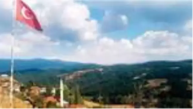 Bu köyde ders kahvede
