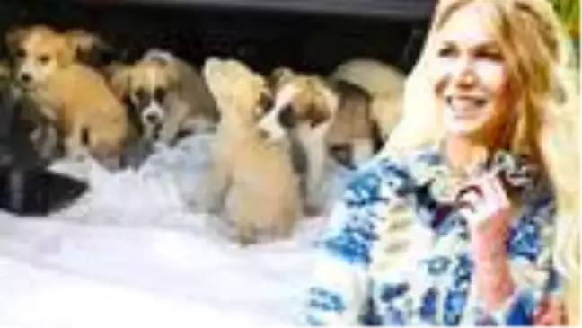 Derin Mermerci köpek yavrularına sahip çıktı