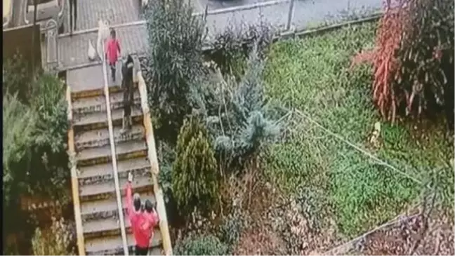 Son dakika haber: Tuzla'da koca dehşeti kamerada