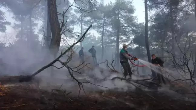 Son dakika haberleri... Bursa'da örtü yangını