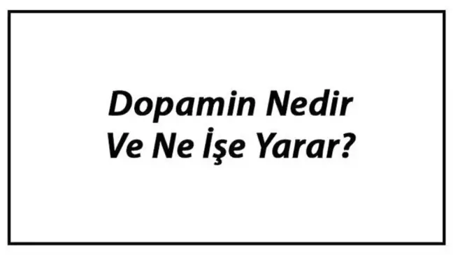 Dopamin Nedir ve Ne İşe Yarar? Dopamin Eksikliği Ne Gibi Sorunlar Oluşturur