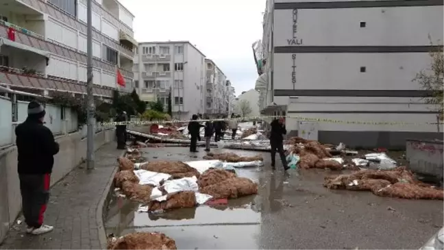 Fırtınanın vurduğu Gemlik'te temizlik çalışması