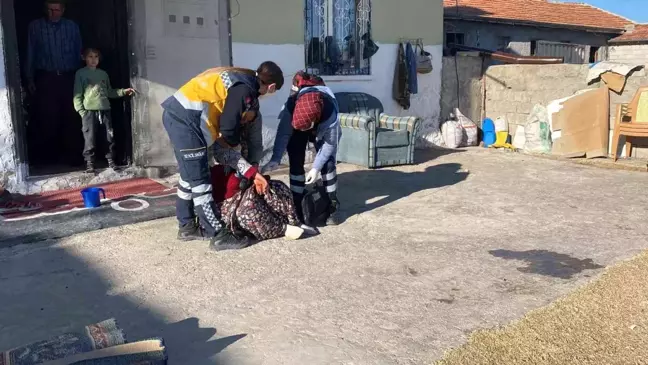 Köpek yumurtaları yedi, tüfek, taş ve sopalar konuştu: 3 yaralı
