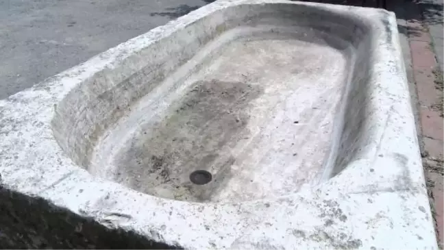 Büyükada'da çaldıkları tarihi üzüm teknesini bahçeye bıraktılar