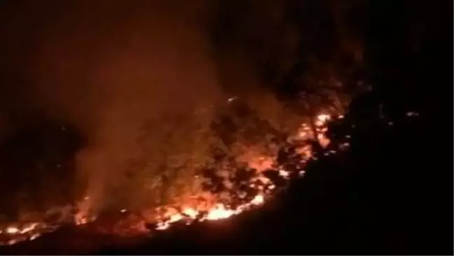 Tunceli haberleri: Tunceli'de Munzur Vadisi Milli Parkı'nda orman yangını (2)