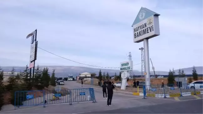 Köpeğin kürekle öldürülmesinde sanıklara verilen cezayı az bulan savcılıktan itiraz