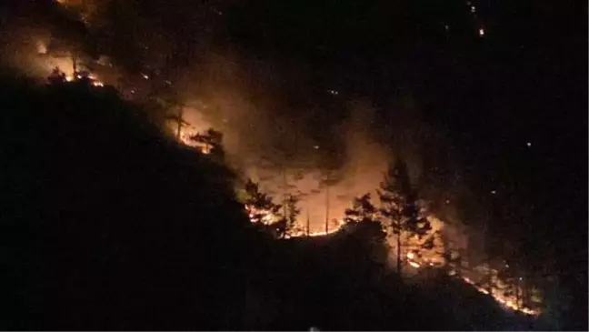 ANTALYA'DA ORMAN YANGINI (2)
