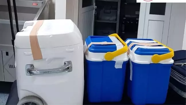 Giresun'da beyin kanaması nedeniyle hayatını kaybeden kişinin organı bir kişiye hayat oldu