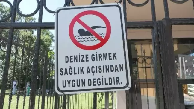 İBB'nin işlettiği Güneş Plajı kirlilik nedeniyle kapalı, özel plajın yüksek giriş ücreti tepkilere neden oldu