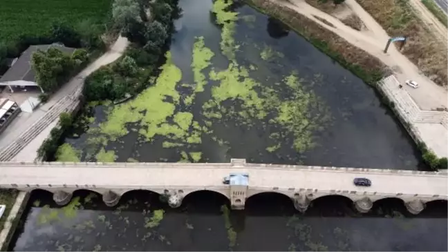 Tunca Nehri'nde Su Seviyesi Düşüyor ve Kirlilik Artıyor