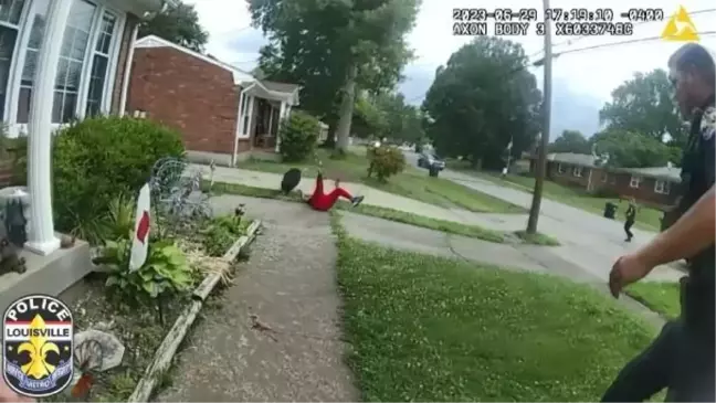 Kentucky'de başıboş gezen domuz polis ve çevre sakinlerini zorladı