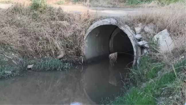 Silivri'deki Elmalık Deresi'nden Kötü Koku Şikayeti