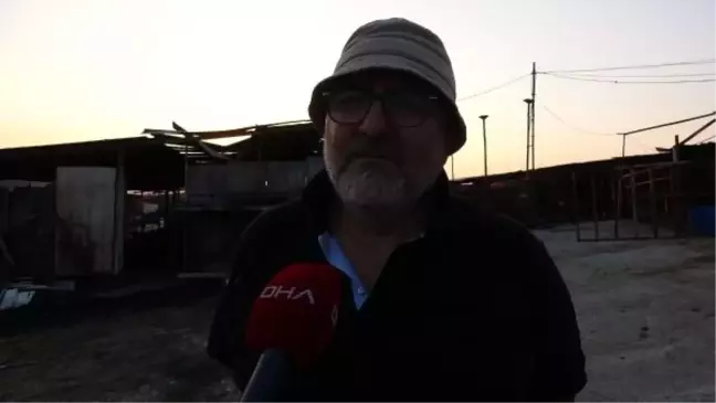 Çanakkale'deki Orman Yangınında Hayvanlar Yanarak Öldü