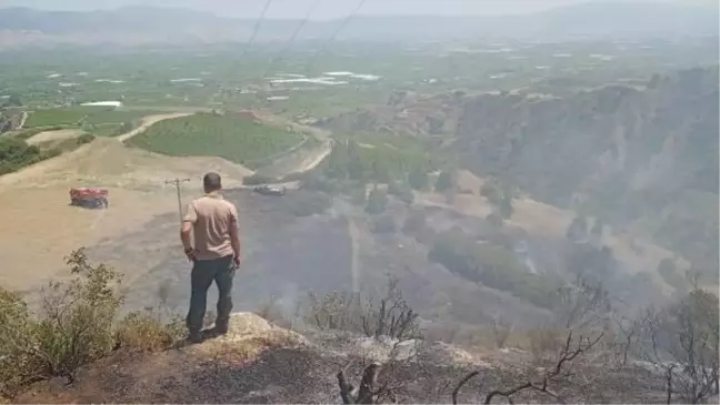 Alaşehir'de çıkan yangında 5 dönüm alan zarar gördü