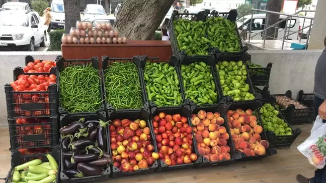 TOGÜ'de Üretilen Meyve ve Sebzeler İçin Yeni Satış Noktası Açıldı
