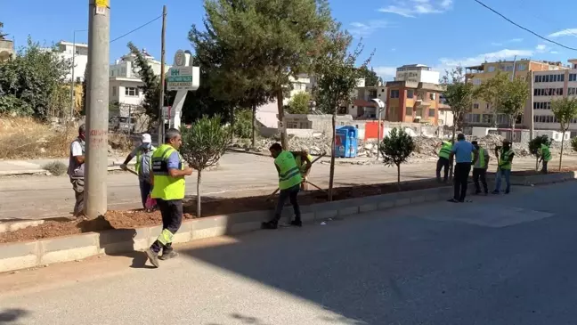 Adıyaman Belediyesi Refüj ve Kavşaklarda Bakım ve Peyzaj Çalışmaları Yapıyor