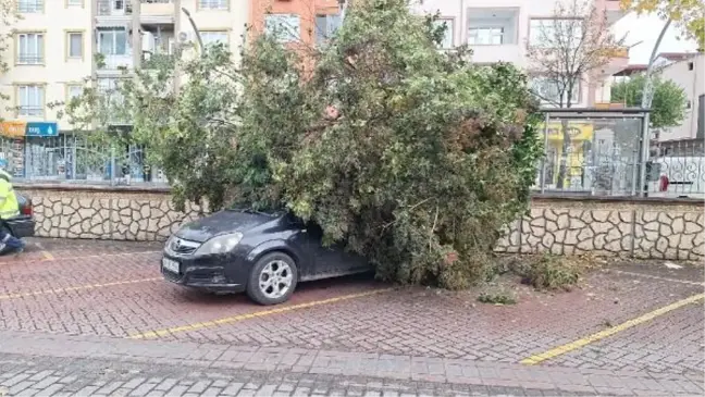 Ağaç Otomobilin Üzerine Devrildi