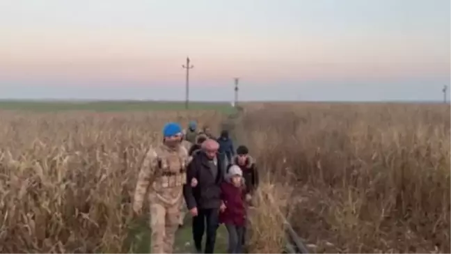 Ceylanpınar'da göçmen kaçakçılığı operasyonu: 15 şüpheli tutuklandı