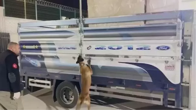 Konya'da Kamyonette Skunk Ele Geçirildi