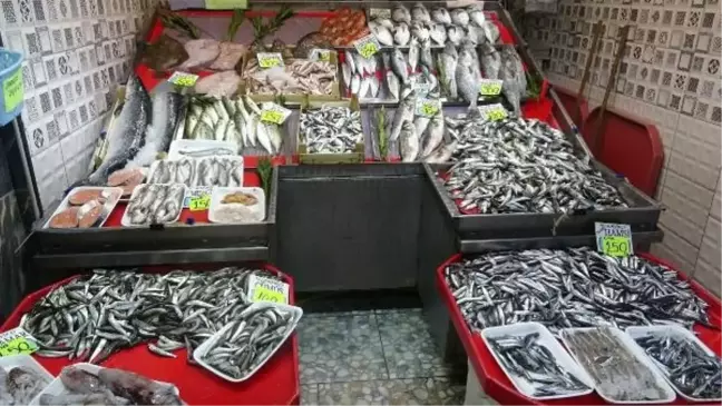 Marmara Denizi'nde Hamsi Avcılığı Arttı