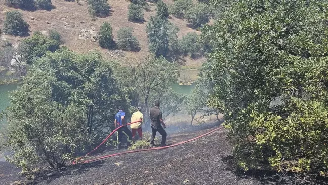 Denizli'nin Güney ilçesinde meşe ağaçlarının bulunduğu alanda çıkan ot yangını söndürüldü