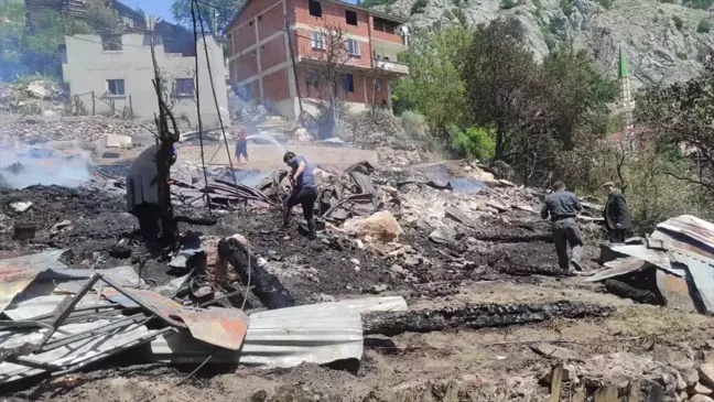 Sinop'un Boyabat ilçesinde çıkan yangında 3 ev ile 2 ambar kullanılamaz hale geldi