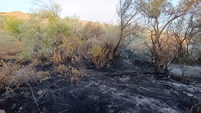 Tunceli'de çıkan yangın kontrol altına alındı