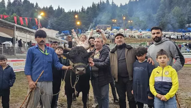 Artvin'de düzenlenen 43. Kafkasör Kültür, Turizm ve Sanat Festivali'nde Boğa Güreşleri