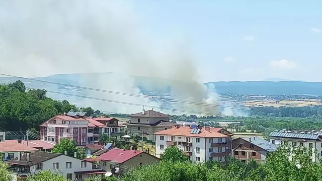 Bolu'da sazlık alanda çıkan yangın söndürüldü