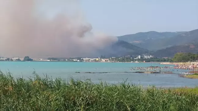 İznik'teki Ormanlık Alanda Yangın Çıktı