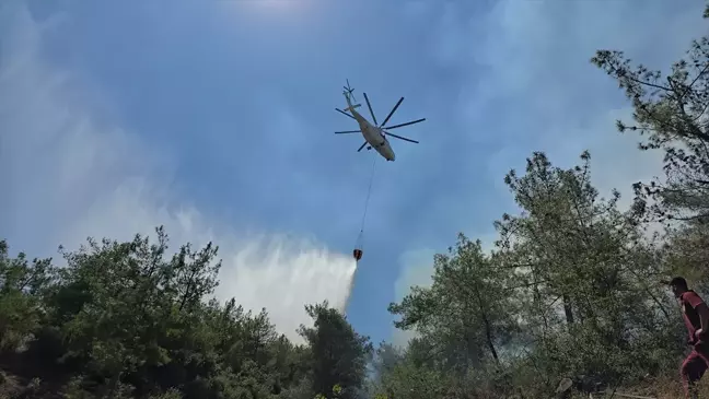 Hatay'ın Hassa ilçesinde ormanlık alanda yangın çıktı