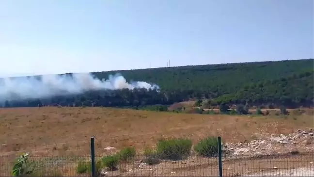 Yalova'da Orman Yangını: Havadan ve Karadan Müdahale Devam Ediyor