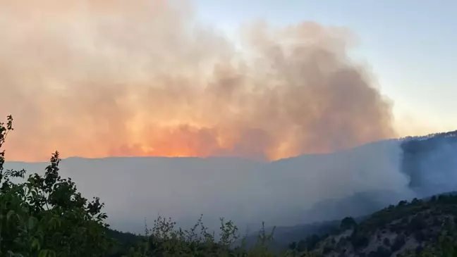 Karabük'te 40 Hektarlık Orman Yangını Devam Ediyor