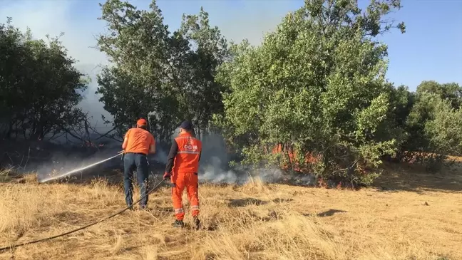 Bingöl'de 2 bölgede çıkan orman ve örtü yangını söndürüldü