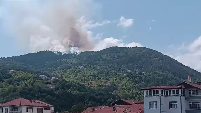 Zonguldak'ta orman yangını kontrol altına alındı