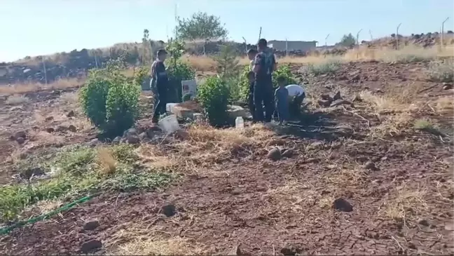 Güvenlik Korucusu Raşit Kaya'nın Ailesi Suçluların Yakalanmasını İstiyor