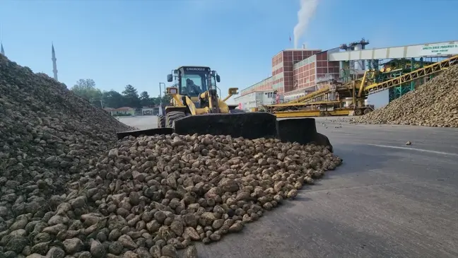 Amasya Şeker Fabrikası'ndan 71. Pancar Alım Kampanyası Töreni