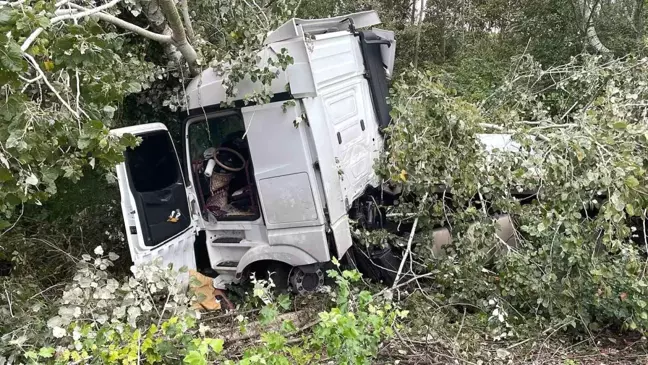 Sakarya'da Kontrolden Çıkan Tır Ağaçla Çarpıldı: Sürücü Yaralandı