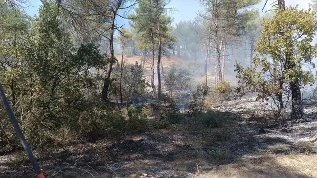 Bolu Göynük'te Yangın Kontrol Altına Alındı