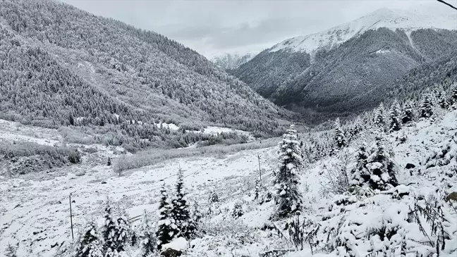 Rize'de Yayla Sezonu Son Buldu