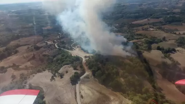 Adana'da Orman Yangını Kontrol Altına Alındı