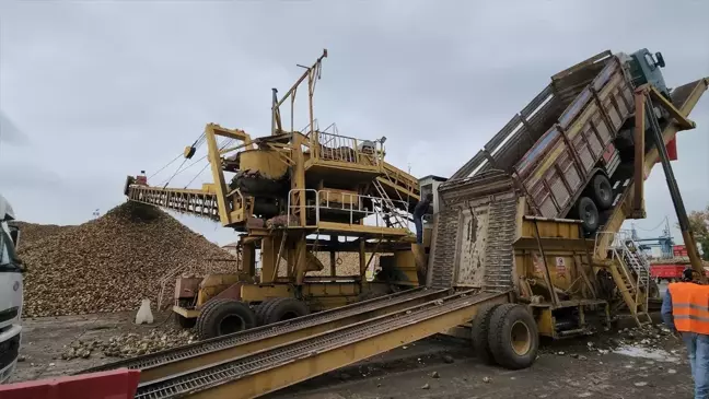 Amasya Şeker Fabrikası'nda 71. Pancar Kampanyası Devam Ediyor