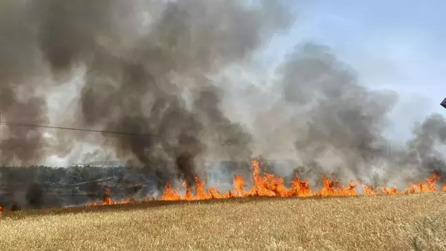 Anız Yakımı Doğaya Zarar Veriyor: Erozyon ve Yangın Tehlikesi