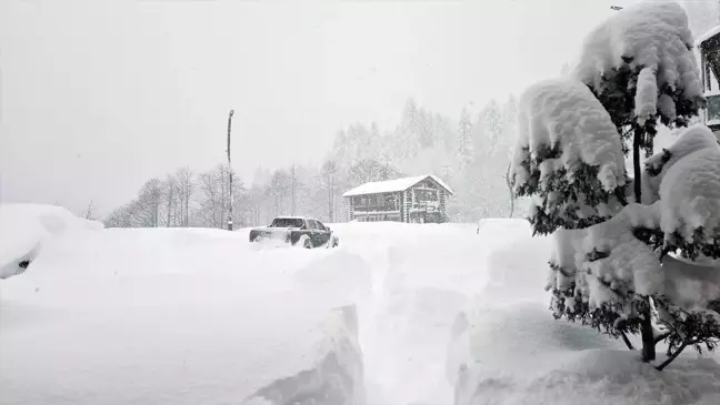 Kar Yağışı Doğu Karadeniz'de Yaşamı Olumsuz Etkiliyor