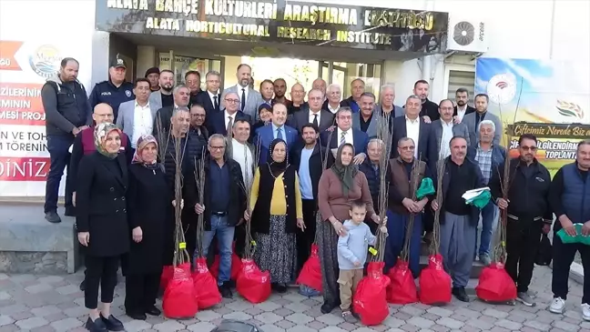 Mersin'de Atıl Arazileri Değerlendirmek İçin Kestane Fidanı Dağıtımı