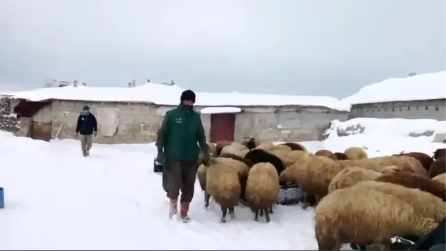 Bitlis'te Sibirya Soğukları Besicileri Zorluyor